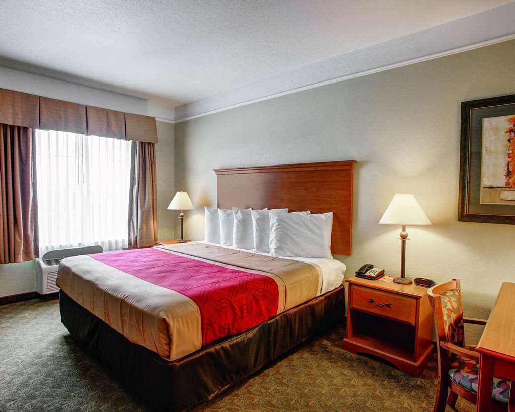 Americinn By Wyndham ニューブラウンフェルズ 部屋 写真