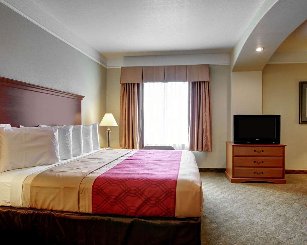Americinn By Wyndham ニューブラウンフェルズ 部屋 写真
